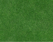 Grass Court