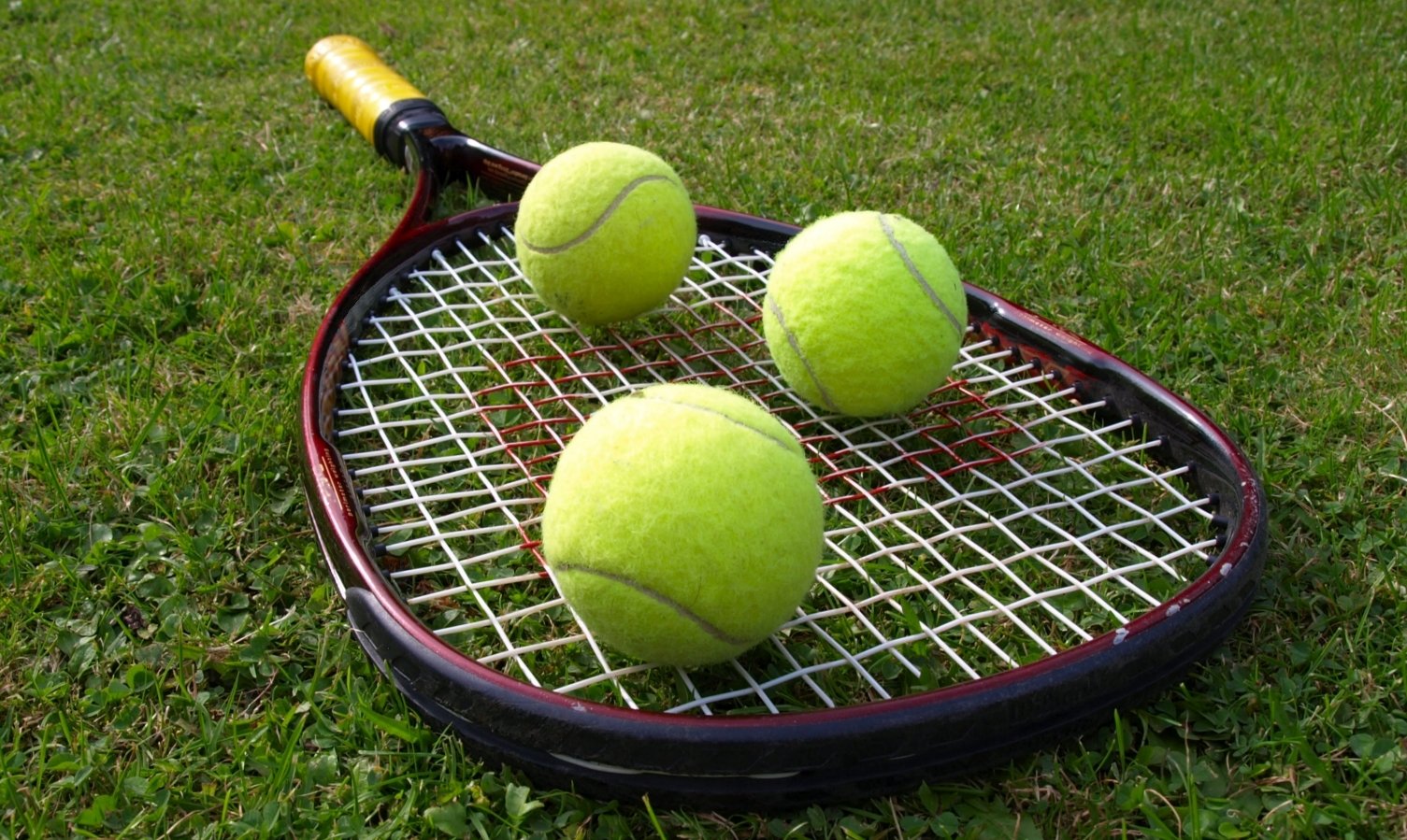 Top 10 Tennis Academies in Indore