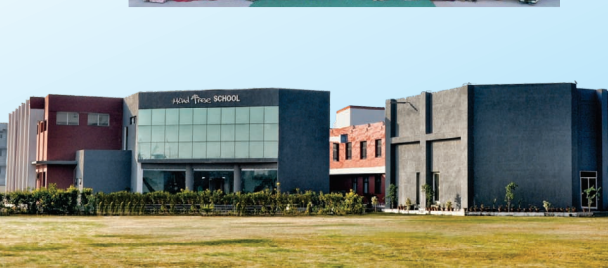 Mind Tree School Lawn Tennis ambala, haryana tenniskhelo